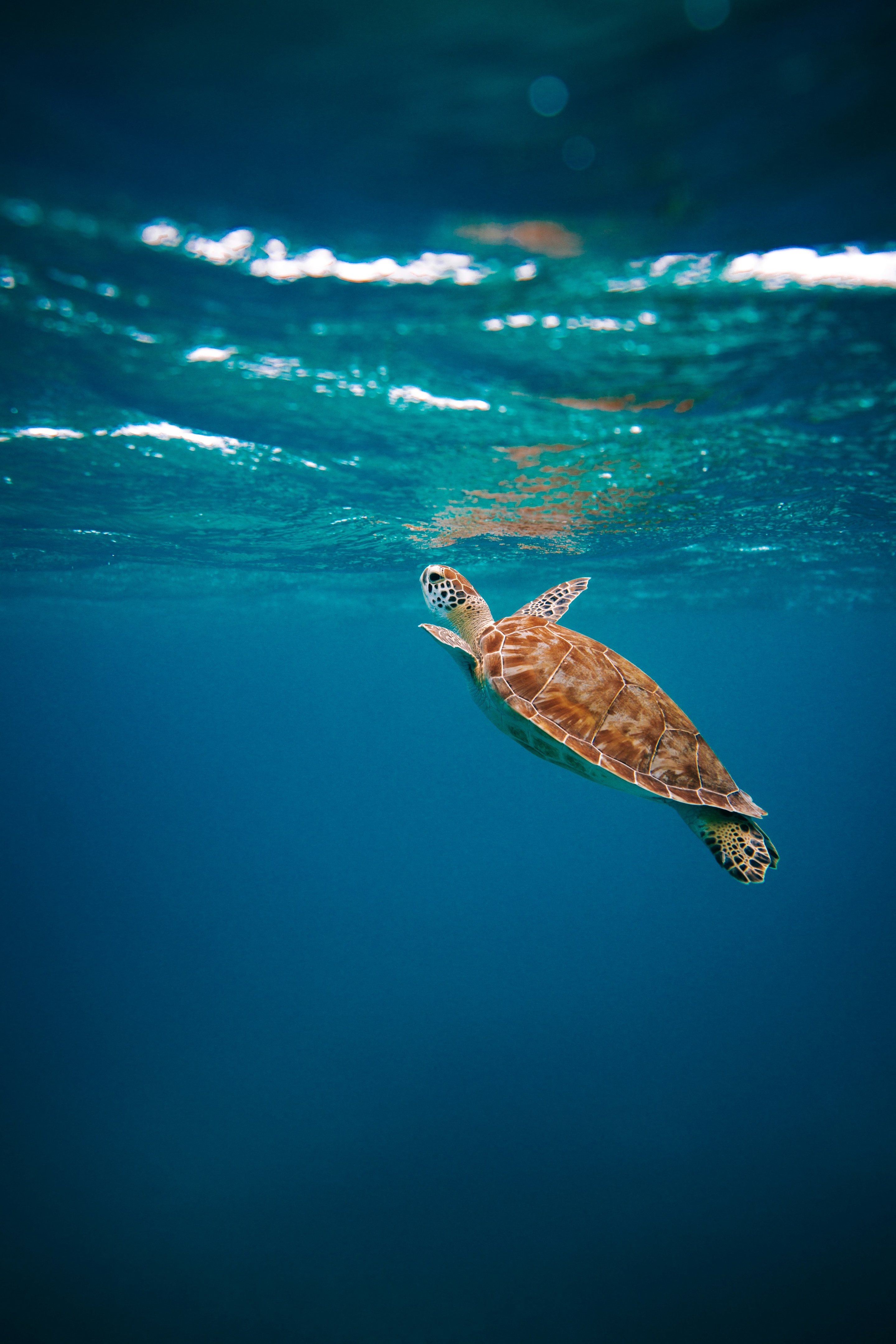 Sustainability image